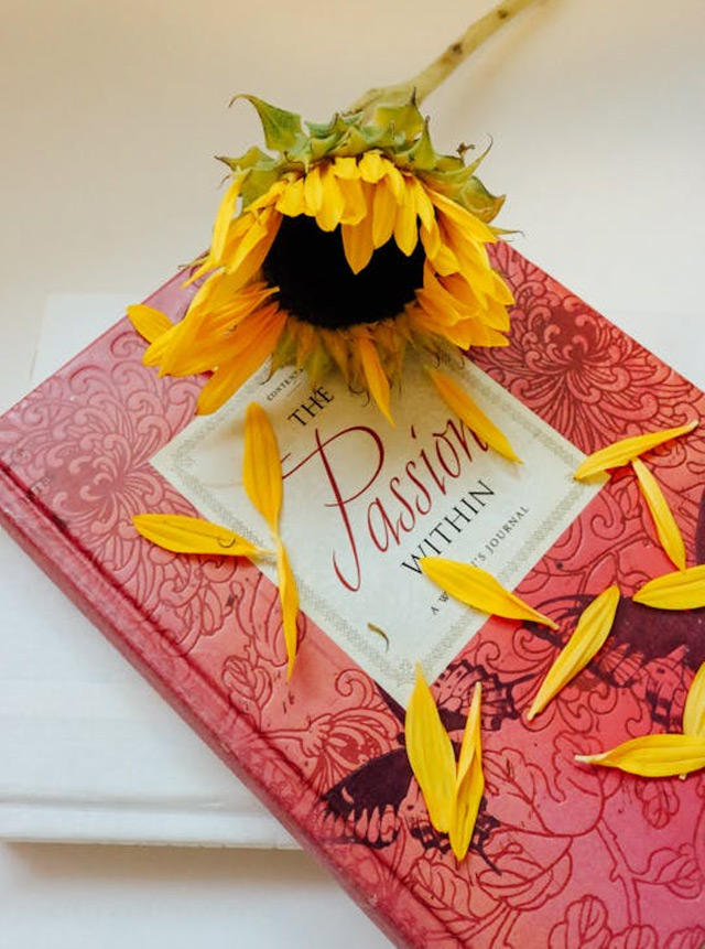 pexels-pixabay-256455