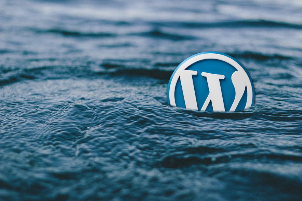 8 Reasons Why WordPress is the Best CMS