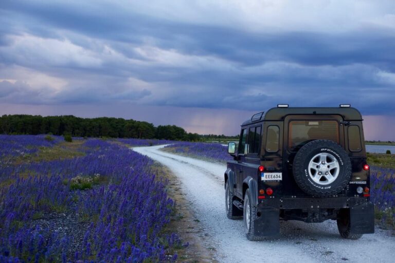 Zola tours are your one-stop destination for amazing travel experiences.