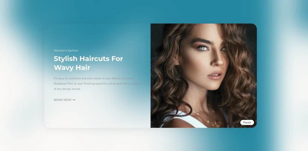 Backdrop Filter features of Sky Addons for WordPress