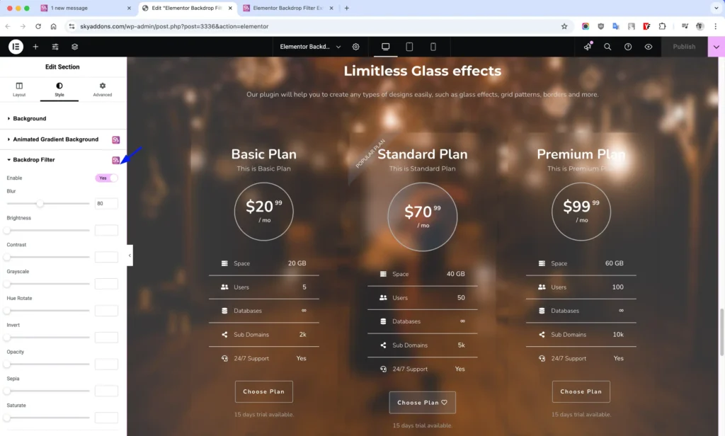 Backdrop Filter features of Sky Addons for WordPress