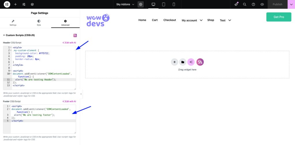 Custom Scripts for Elementor WordPress