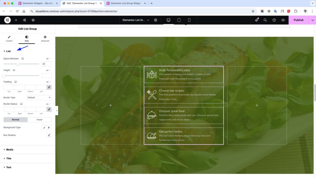 List Group of Sky Addons for Elementor WordPress
