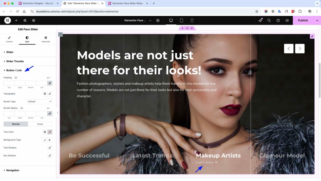 Pace Slider for Elementor WordPress