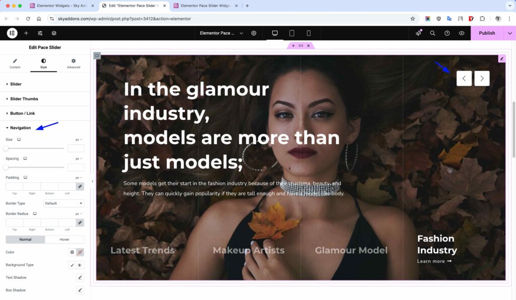 Pace Slider for Elementor WordPress