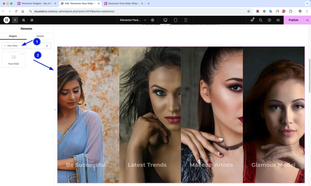 Pace Slider for Elementor WordPress
