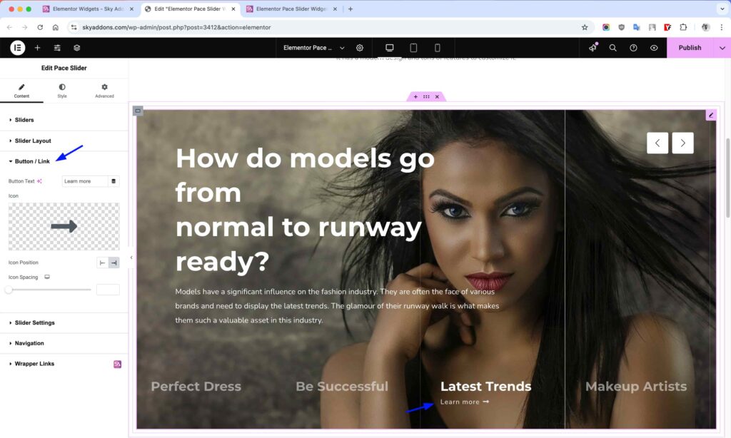 Pace Slider for Elementor WordPress