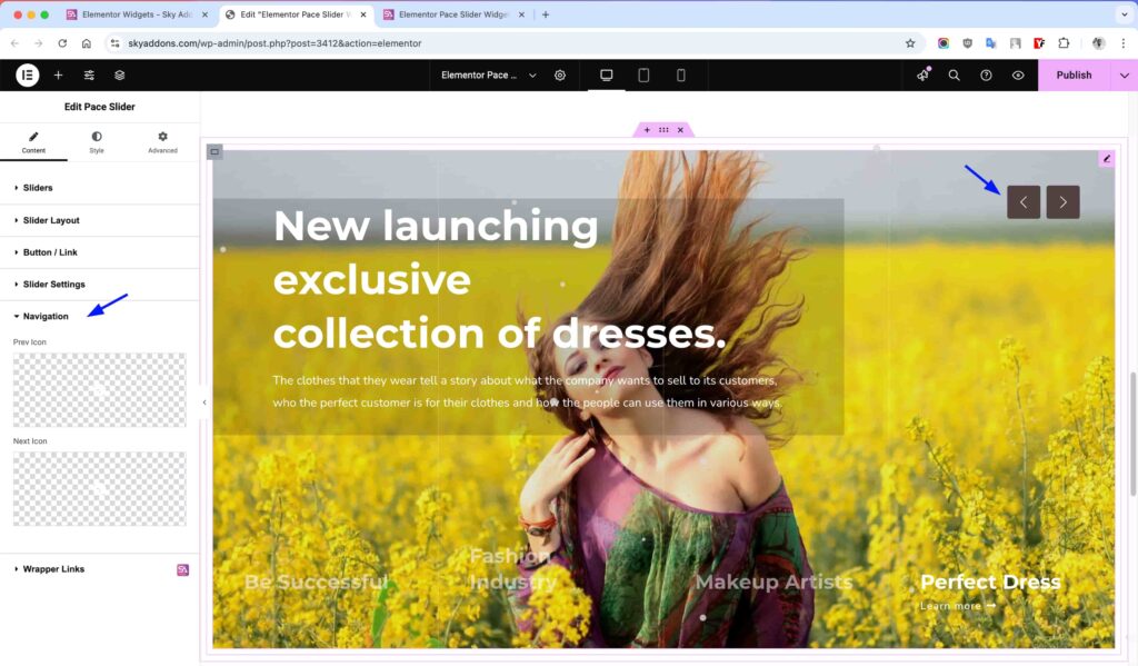 Pace Slider for Elementor WordPress