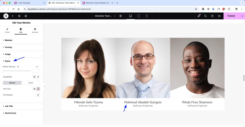 Team Member for Elementor WordPress