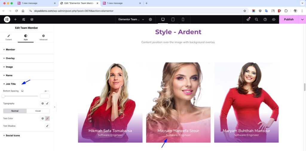 Team Member for Elementor WordPress