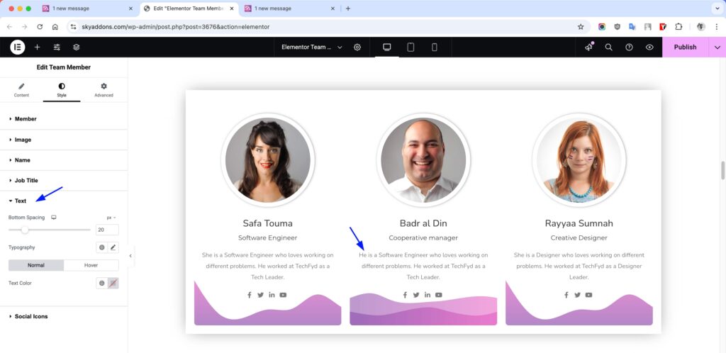 Team Member for Elementor WordPress