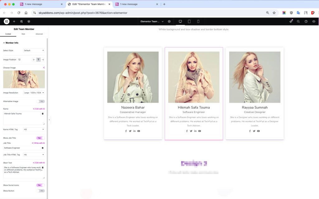 Team Member for Elementor WordPress