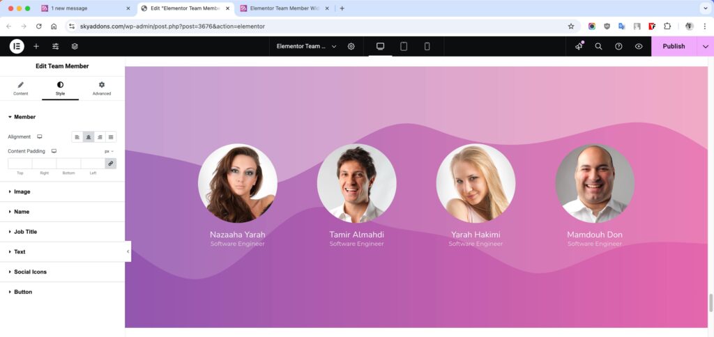 Team Member for Elementor WordPress