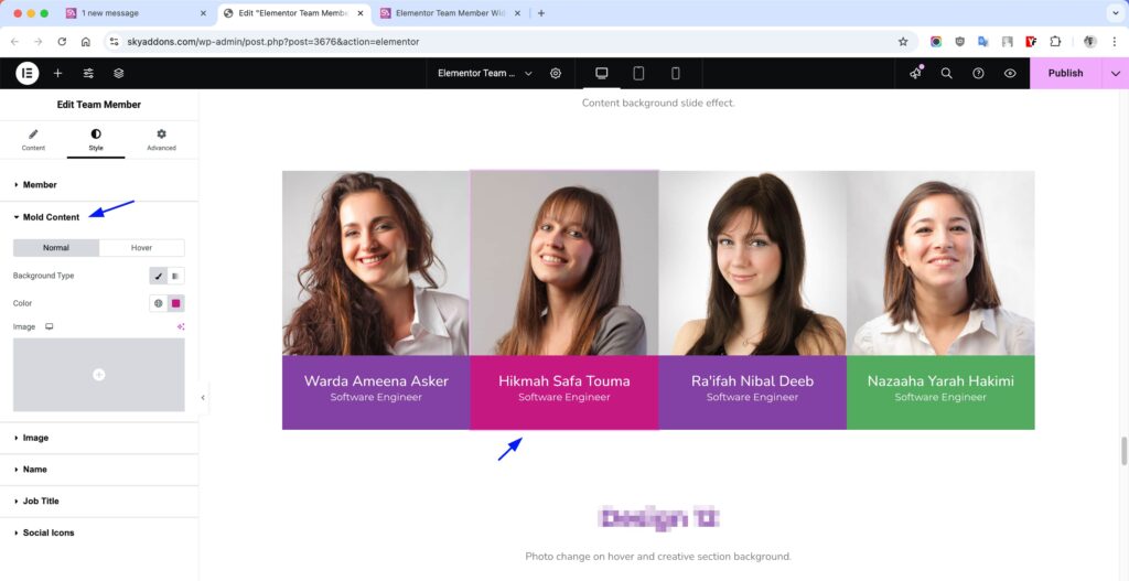 Team Member for Elementor WordPress