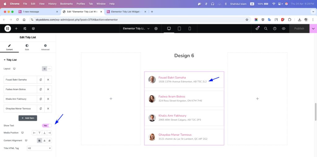 Tidy List for Elementor WordPress