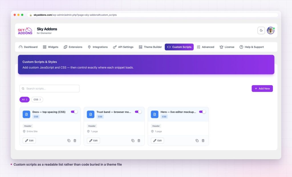 Elementor custom scripts shown as a readable list in the dashboard