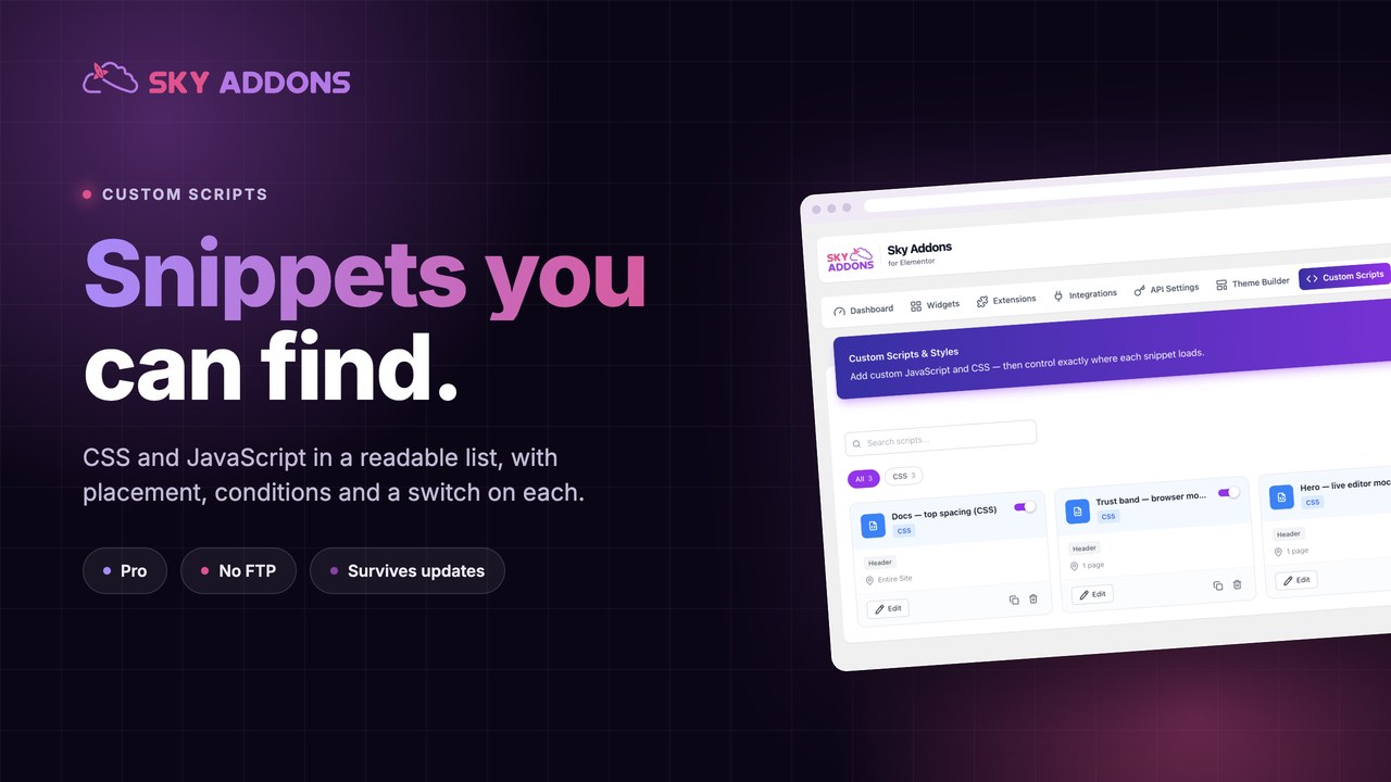 Custom Scripts (CSS/JS) for Elementor by Sky Addons