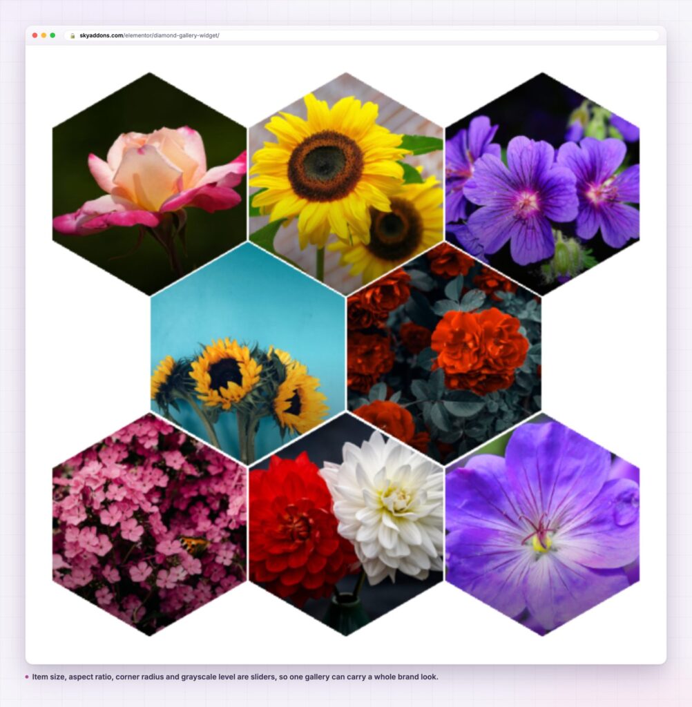 Diamond gallery hexagon grid of flower photographs