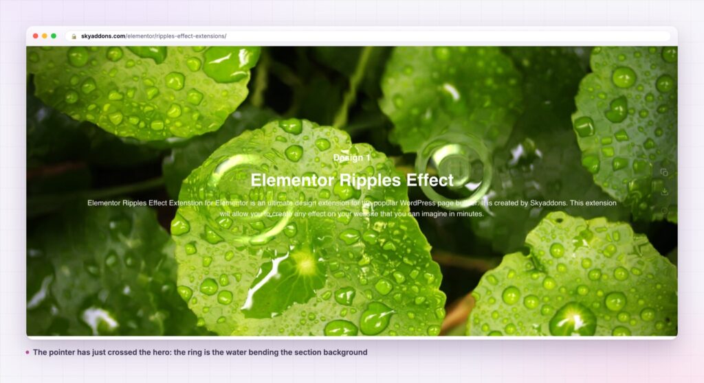 Ripples effect ring spreading across an Elementor hero section