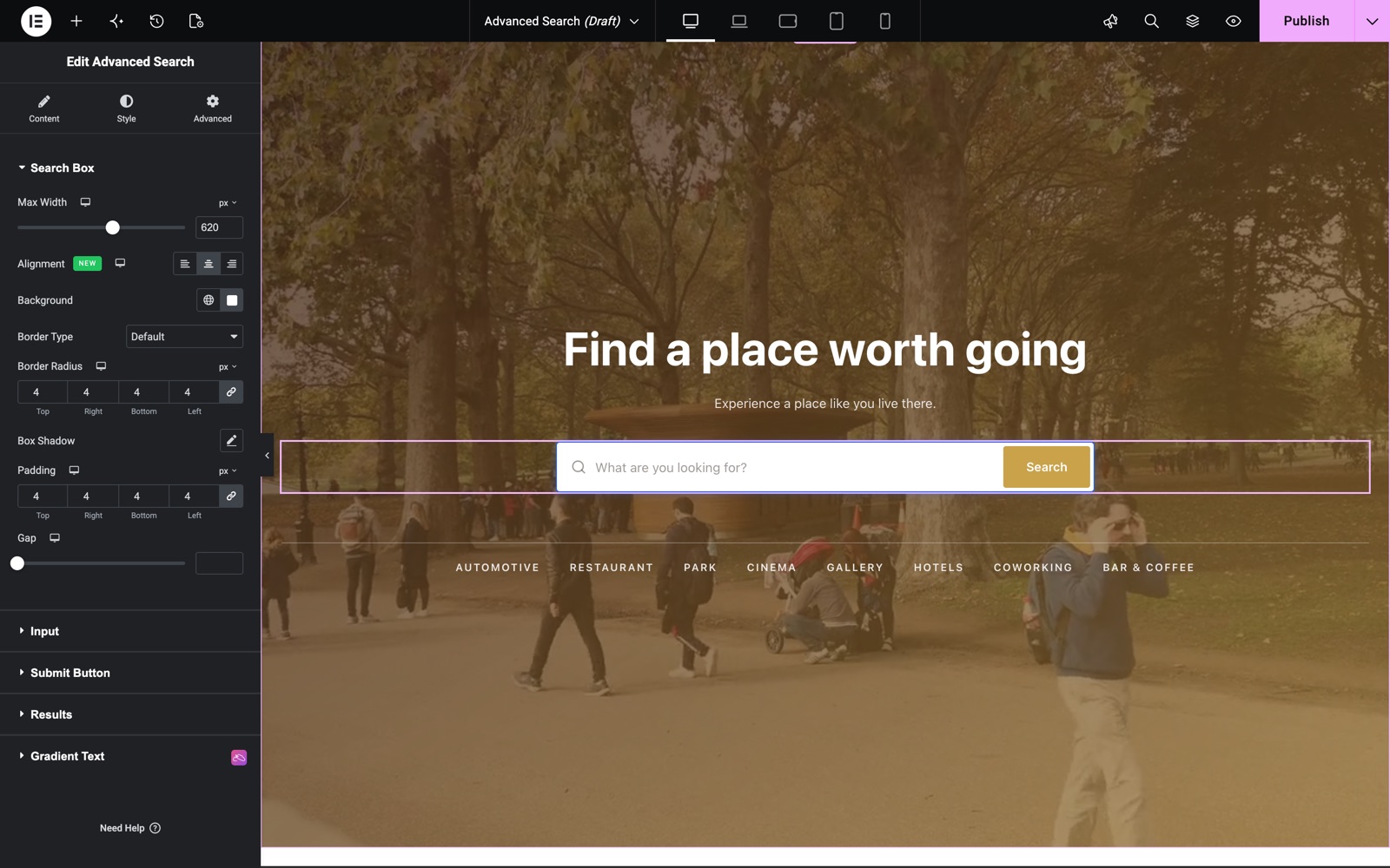 Advanced Search Search Box style controls