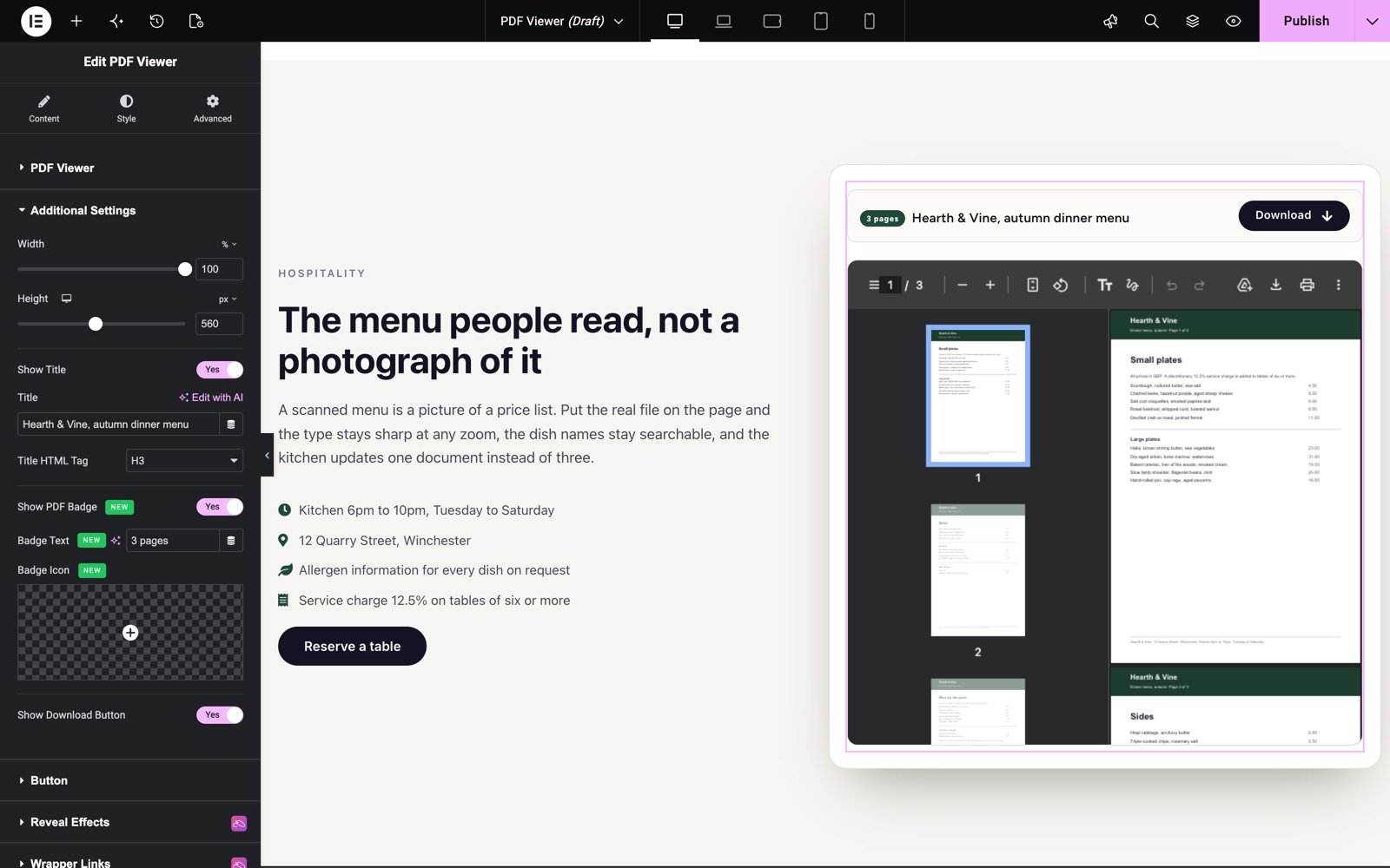 Elementor PDF viewer Additional Settings with title, PDF badge and download button