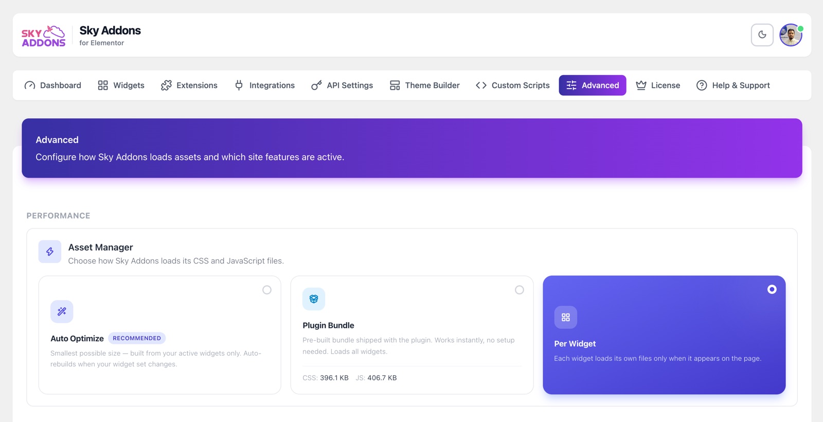 Sky Addons Asset Manager with Auto Optimize, Plugin Bundle and Per Widget modes