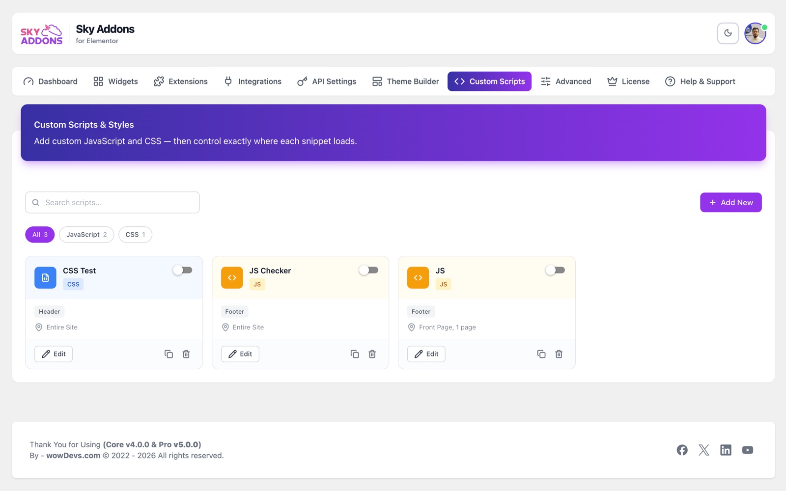 Sky Addons Custom Scripts tab with CSS and JS snippet cards and display rules