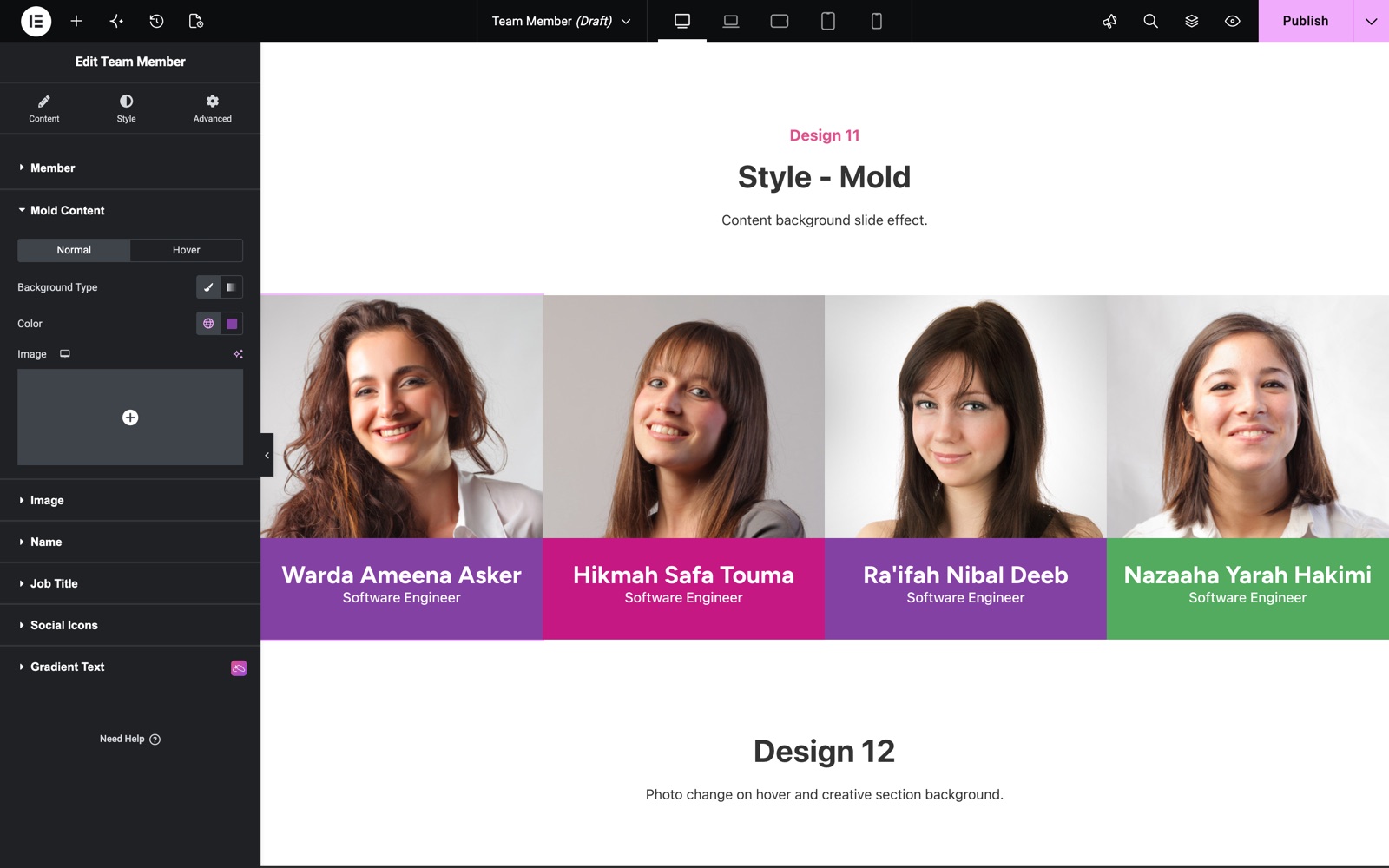 Team Member Mold Content style with normal and hover background