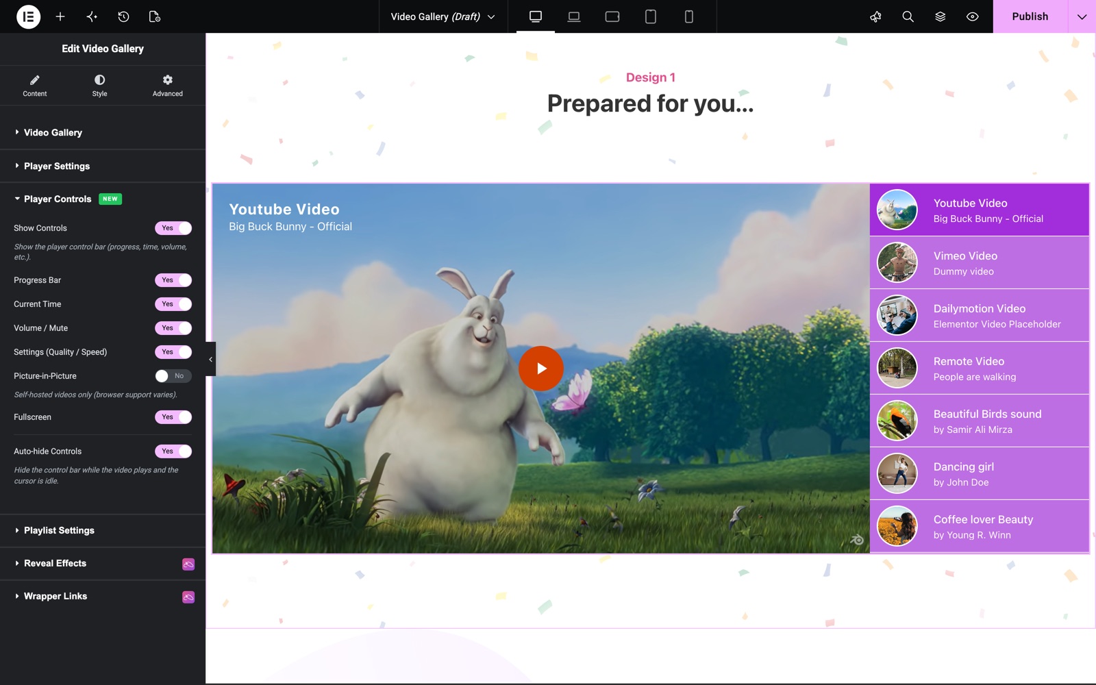 Video Gallery Player Controls section with progress bar, volume, settings and fullscreen